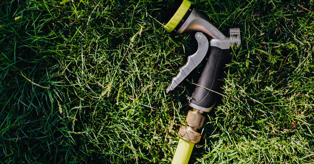 Lawn Maintenance in Chandler